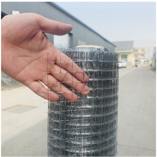 PVC Coated Welded Wire Mesh