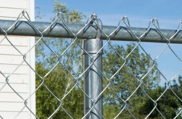 Wire Mesh Fence