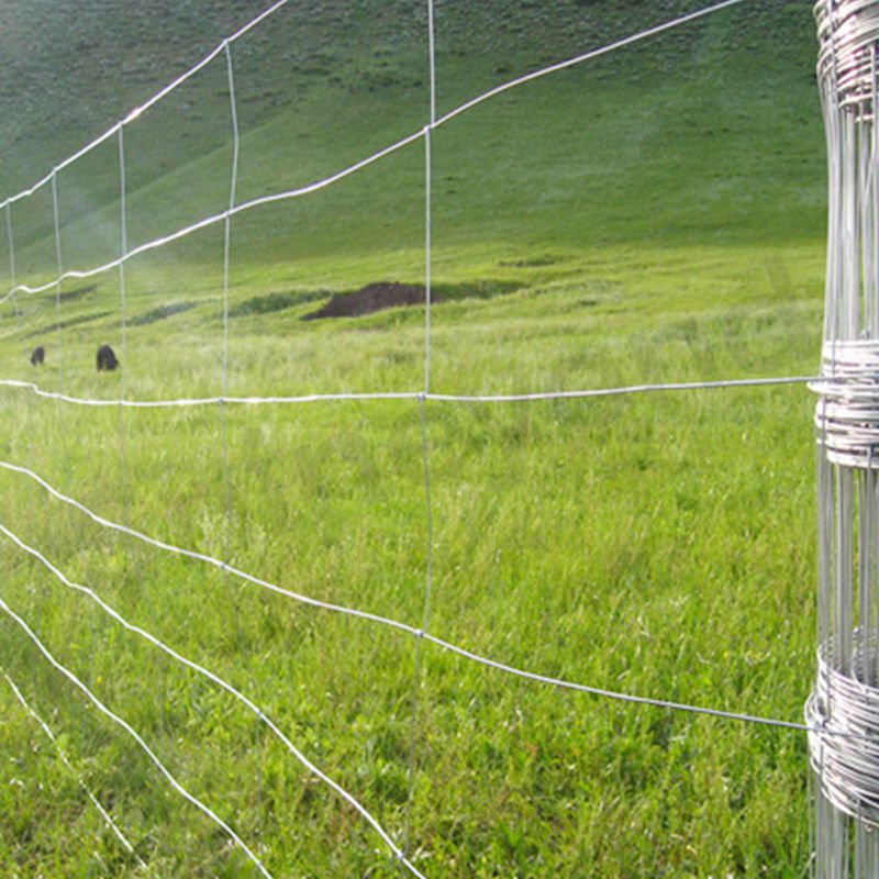 Cattle fence