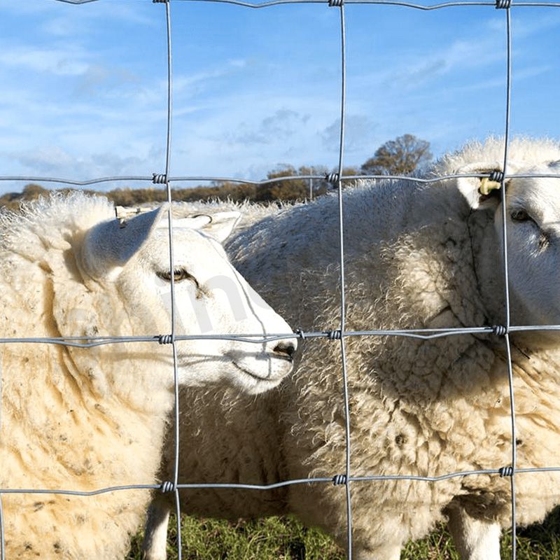 Cattle fence