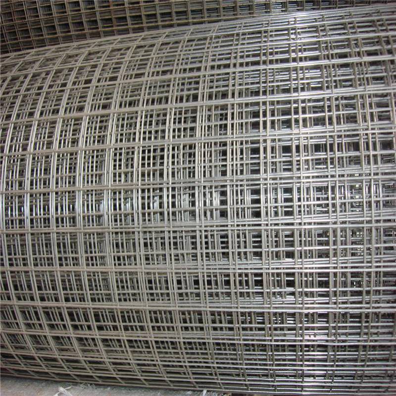 Welded Wire Mesh for Sale
