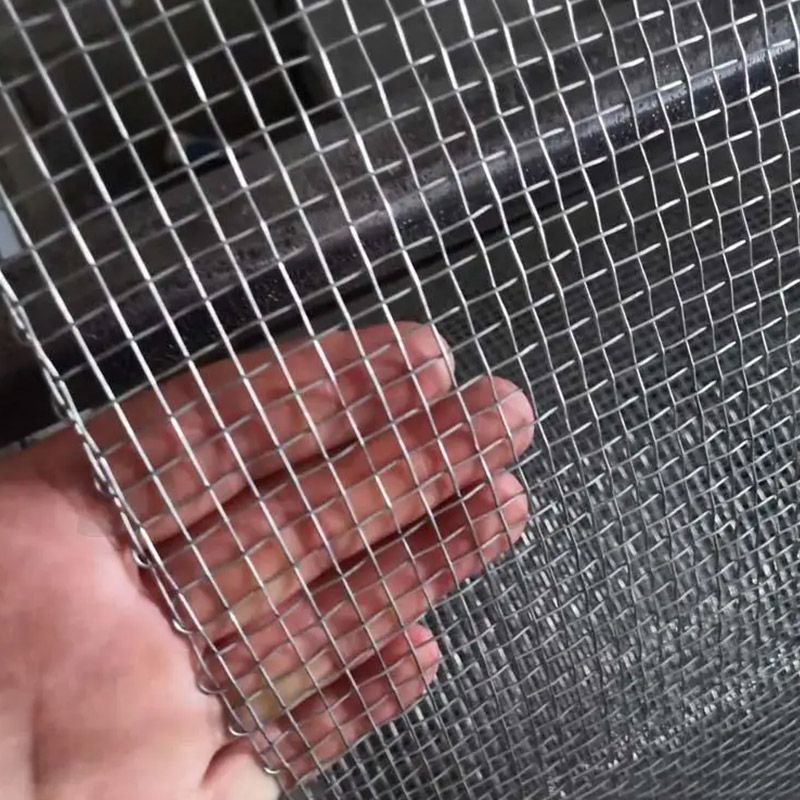 Galvanized Square Wire Netting