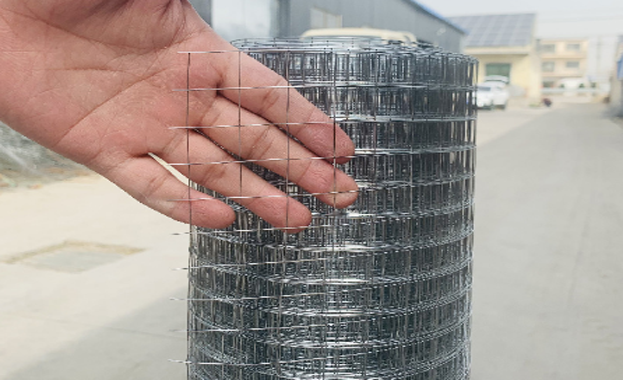 Welded Wire Mesh vs. Plastic Coated Welded Wire Mesh