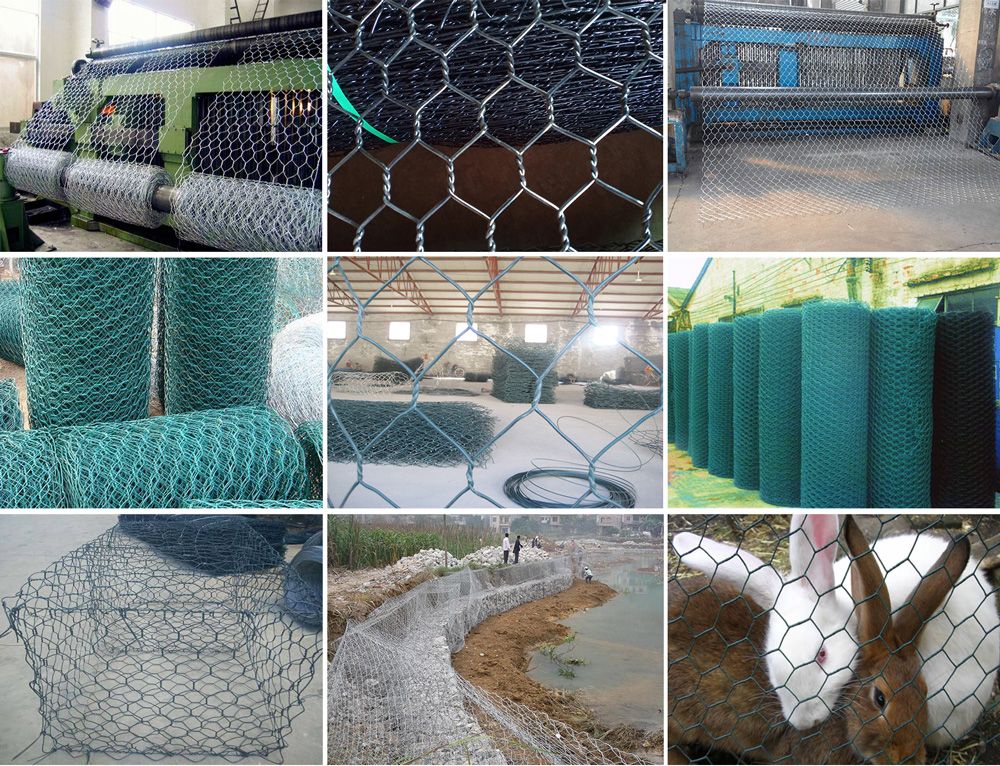 Hexgonal Wire Mesh Application